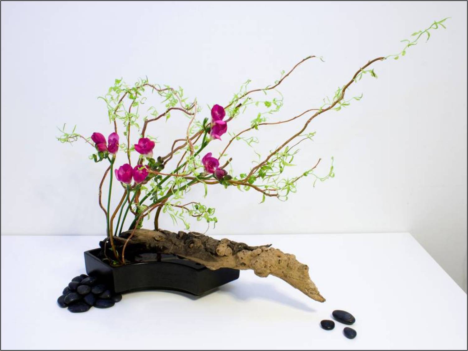 Ikebana Essex WI